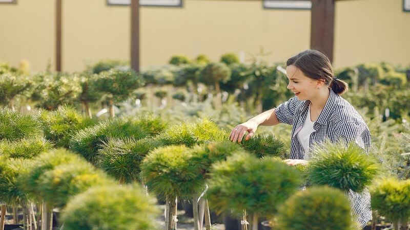 How to Design a Functional and Beautiful Landscape