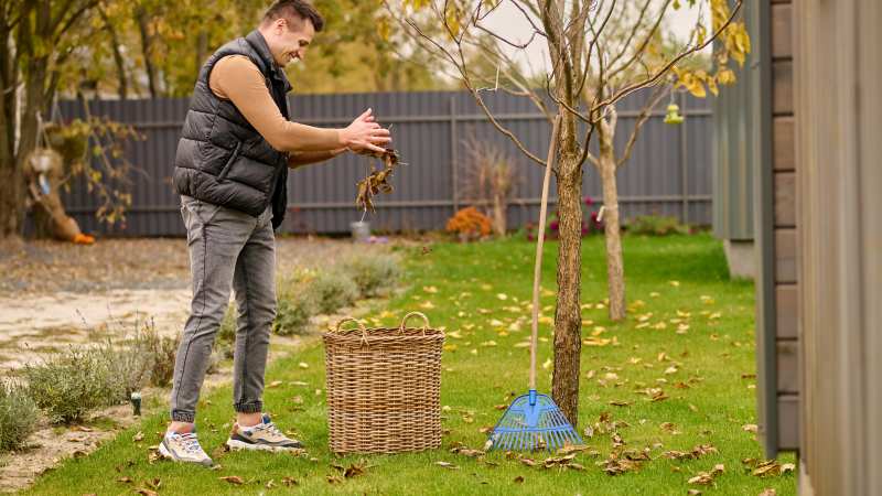 How Professional Tree Services Improve Safety Around Driveways and Walkways