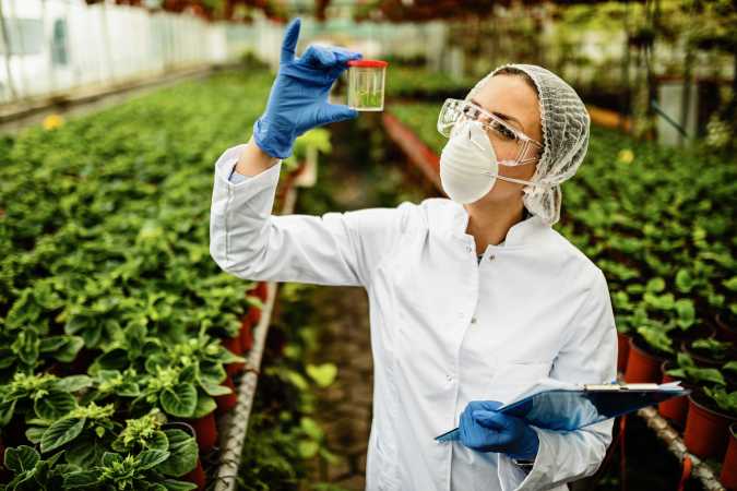 Preventing Microbial Ingress and Oxidation: Barrier Engineering in Bio-Nutritional and Sensitive Food Packaging