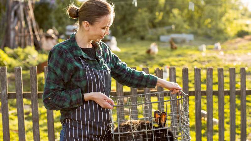 How to Choose Fence Materials for Idaho Weather Property Use and Long-Term Value